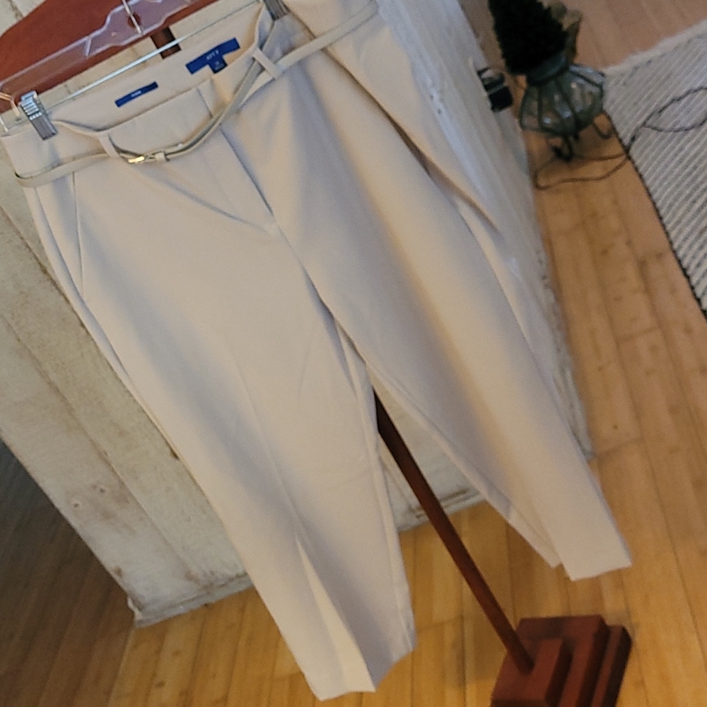 Dressy capris pants